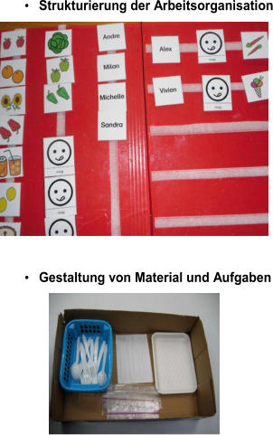 • Strukturierung der Arbeitsorganisation • Gestaltung von Material und Aufgaben